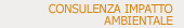 Consulenza Impatto Ambientale
