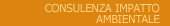 Consulenza Impatto Ambientale