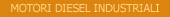 Motori Diesel Industriali